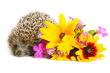 Similar image 1142074