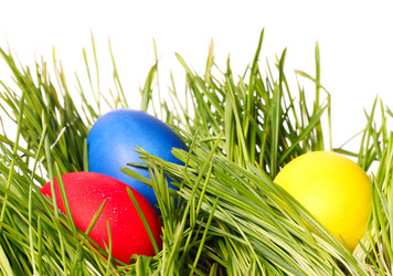 Similar image 1142075