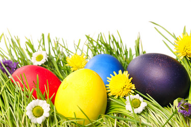 Similar image 1142076