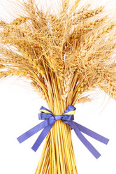 Similar image 1142122