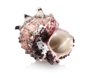 Similar image 1142150