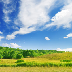 Similar image 1142169