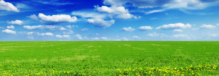 Similar image 1142172