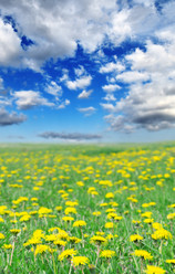 Similar image 1142177