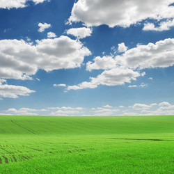 Similar image 1142181