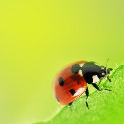 Similar image 1142225