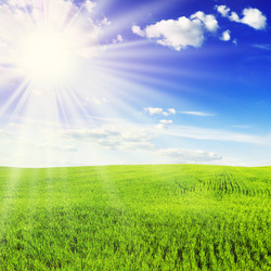 Similar image 1142229