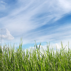 Similar image 1142238