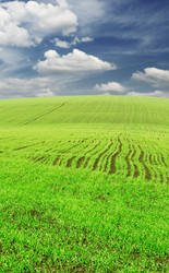 Similar image 1142248