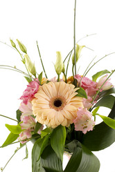 Similar image 1142263