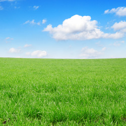 Similar image 1142267