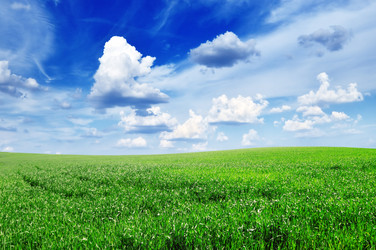 Similar image 1142268