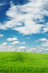 Similar image 1142270