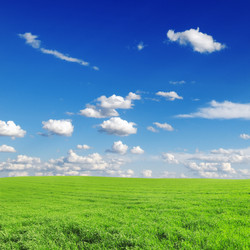 Similar image 1142276