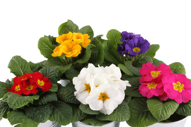 Similar image 1142285