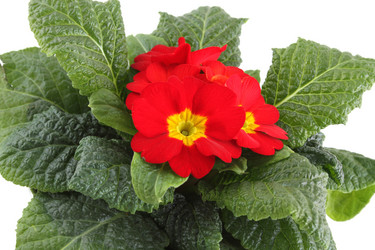 Similar image 1142289