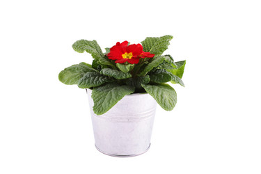 Similar image 1142290