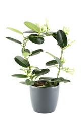 Similar image 1142291