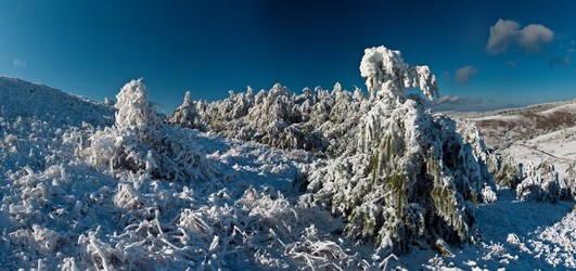 Similar image 1142346