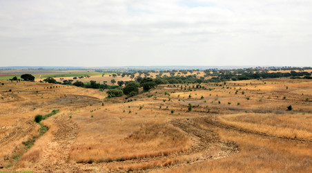 Similar image 1142358