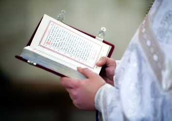 Similar image 1142357