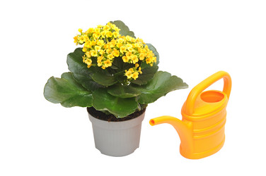 Similar image 1142440