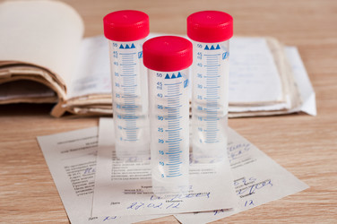 Similar image 1142462