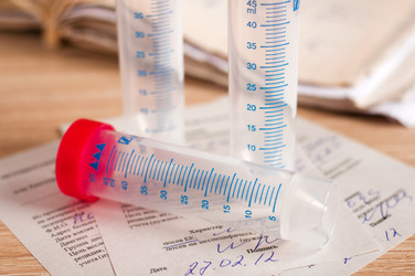 Similar image 1142474