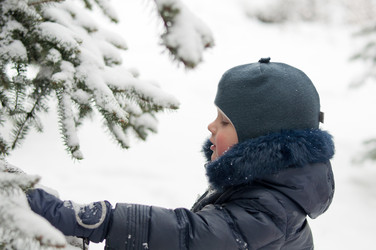 Similar image 1142492