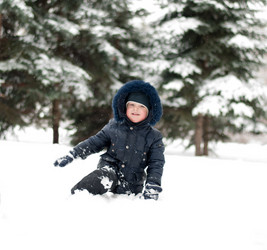 Similar image 1142500