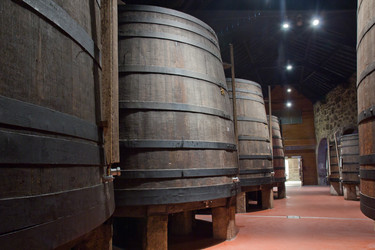 Similar image 1142549