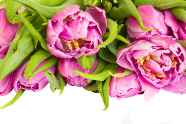 Similar image 1142560