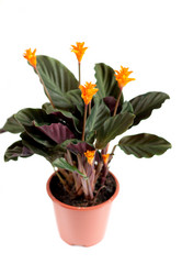 Similar image 1142567