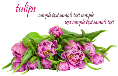 Similar image 1142575