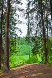 Similar image 1142576