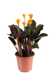 Similar image 1142579