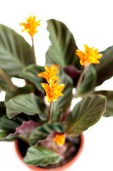 Similar image 1142613