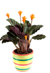 Similar image 1142614