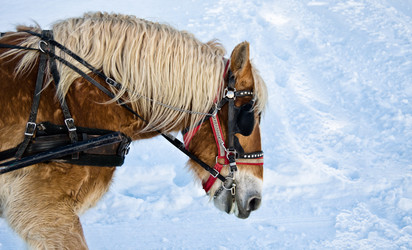 Similar image 1142778