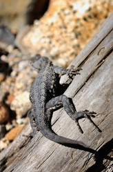 Similar image 1142819