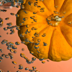 Similar image 1142937