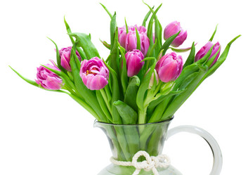 Similar image 1142964