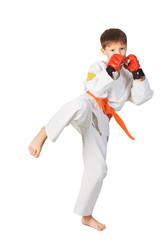 Similar image 1142975