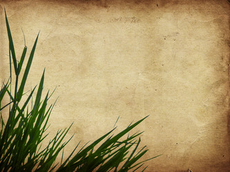 Similar image 1143025