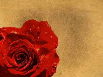 Similar image 1143028