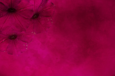 Similar image 1143032