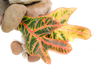 Similar image 1143079