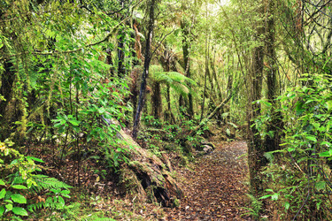 Similar image 1143155