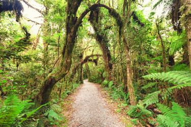 Similar image 1143160