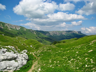 Similar image 1143164